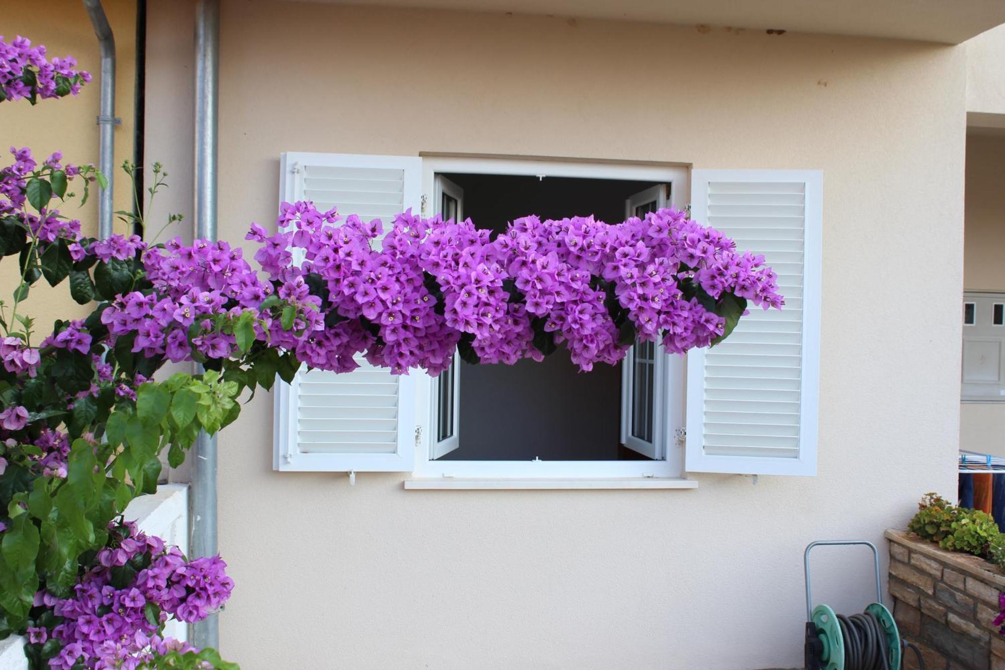 Apartment Mladen Biograd Na Moru Exteriör bild